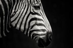 英雄联盟总决赛时间-一秒钟的永恒，马丁内利唯一性绝杀如何定义足球运动的不可复刻之美