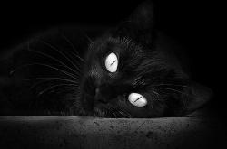 英雄联盟总决赛门票-莱昂纳德对决巴特勒，当冷面杀手遇上强硬之魂，年度焦点战终局为何是他主宰？