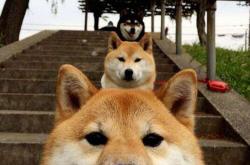 英雄联盟总决赛直播-武切维奇单骑救主，马刺压哨交易引爆新势力，对阵雷霆砍下压制级数据