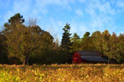 英雄联盟总决赛门票-当勇士的算法遇到血肉长城，锡安如何用最原始的力量撕碎黄蜂的代码防守