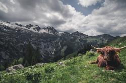 英雄联盟总决赛2025-爵士乐未终章，雷鸣已至，哈利伯顿，专为大场面而生的冷血指挥官