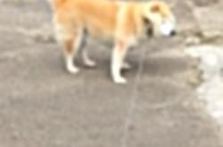 英雄联盟总决赛赛程-壁垒的裂缝，当浓眉用一记绝杀洞穿体系篮球的铁幕