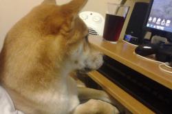 英雄联盟总决赛赛程-二轮秀的逆袭之夜，贝恩生涯最高分狙击字母哥里程碑