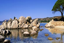 英雄联盟总决赛-哲学之战，卢卡库的觉醒与亚特兰大锁链的终极试炼