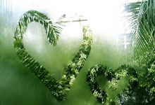 当德甲霸主遇上紫金王朝：曼城“登顶湖人”背后的体育资本迷局