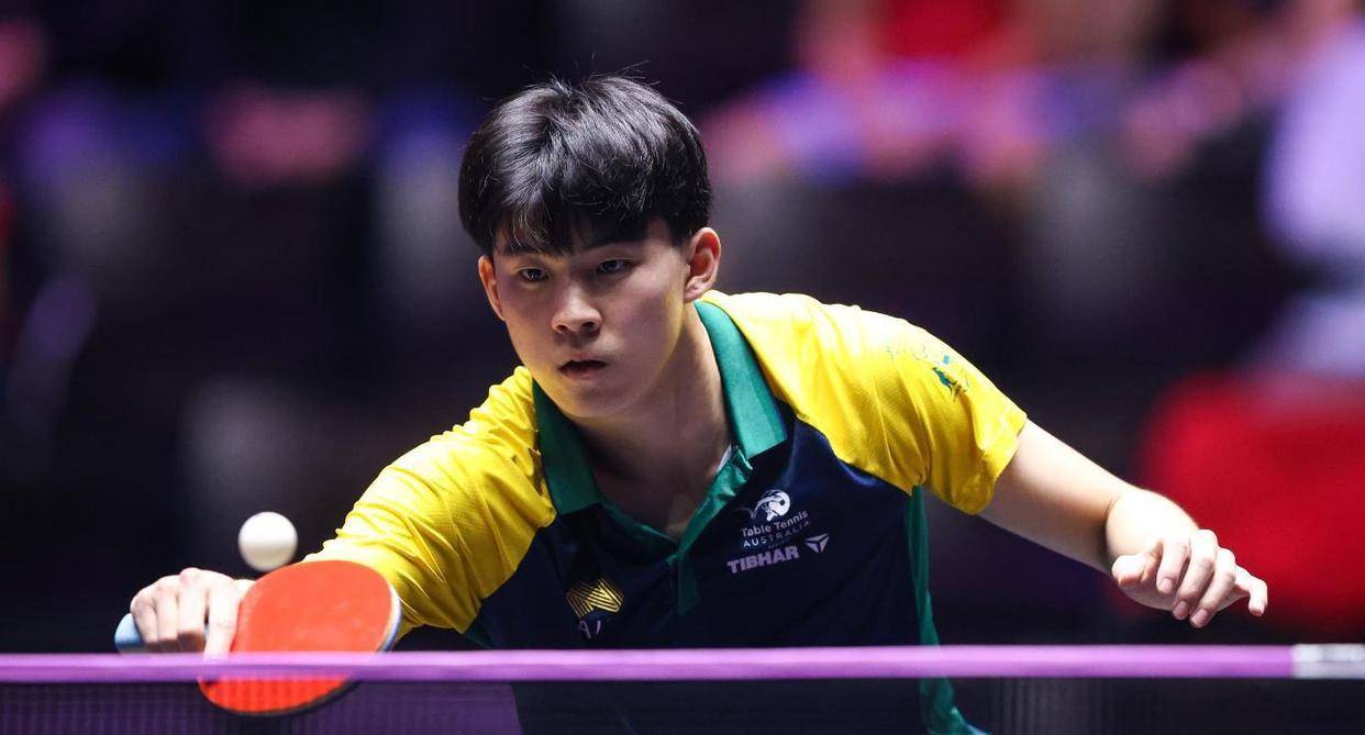 法国队横扫韩国队,张本智和统治全场的简单介绍 法国队横扫韩国队,张本智和统治全场的简单介绍