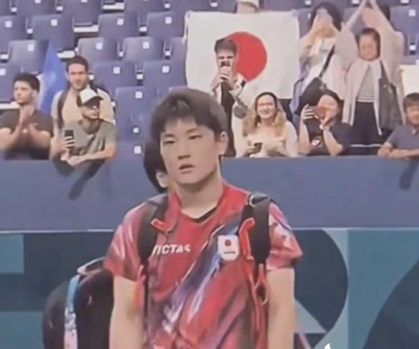 法国队横扫韩国队,张本智和统治全场的简单介绍 法国队横扫韩国队,张本智和统治全场的简单介绍