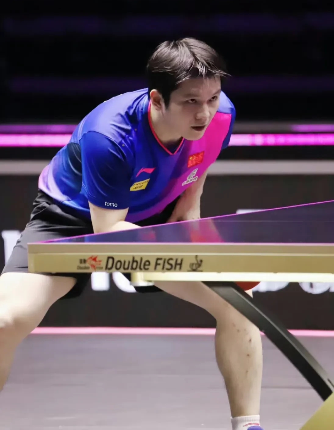 奥地利队力克波兰队,樊振东高光表现的简单介绍 奥地利队力克波兰队,樊振东高光表现的简单介绍