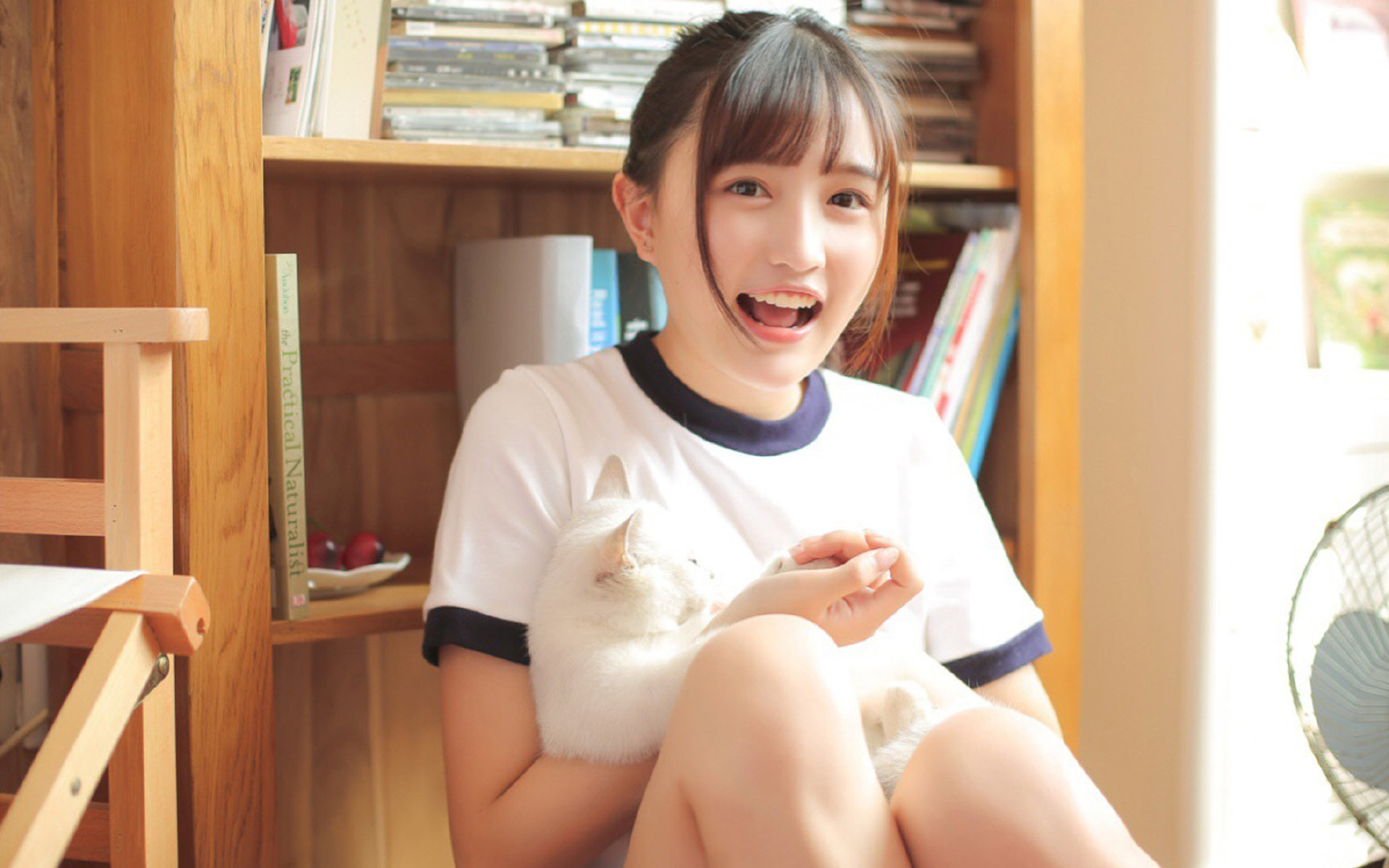 篮球世界的无解杀招,从欧文的不可防守到雄鹿如何掀翻掘金