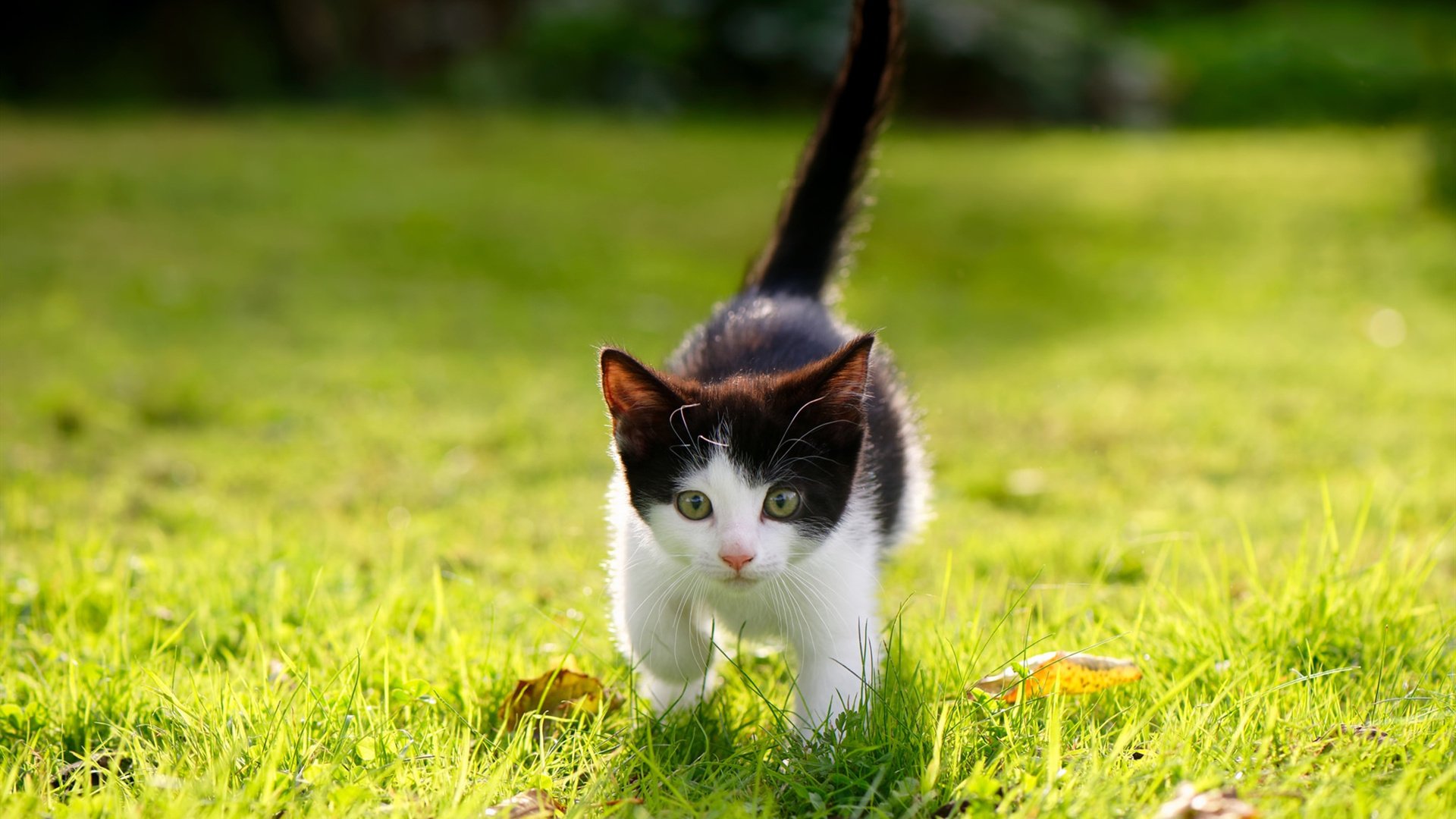 枪声划破雨夜，孤勇者伊萨克一人扛起一支球队的时代绝唱