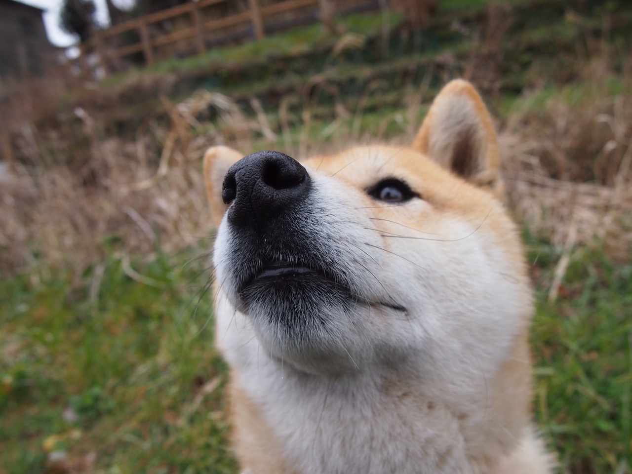 破局之战，萨内弑旧主，威尔士雨夜终结贝蒂斯