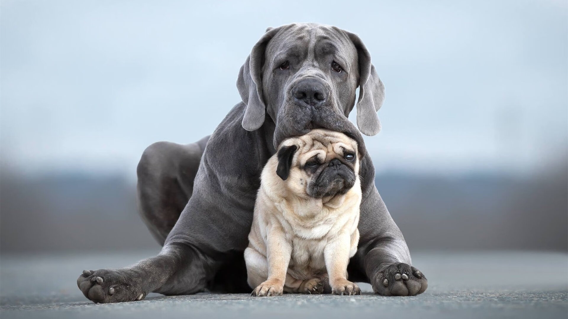 新王炸!贝恩扛起活塞进攻大旗,魔术主场黯然失色