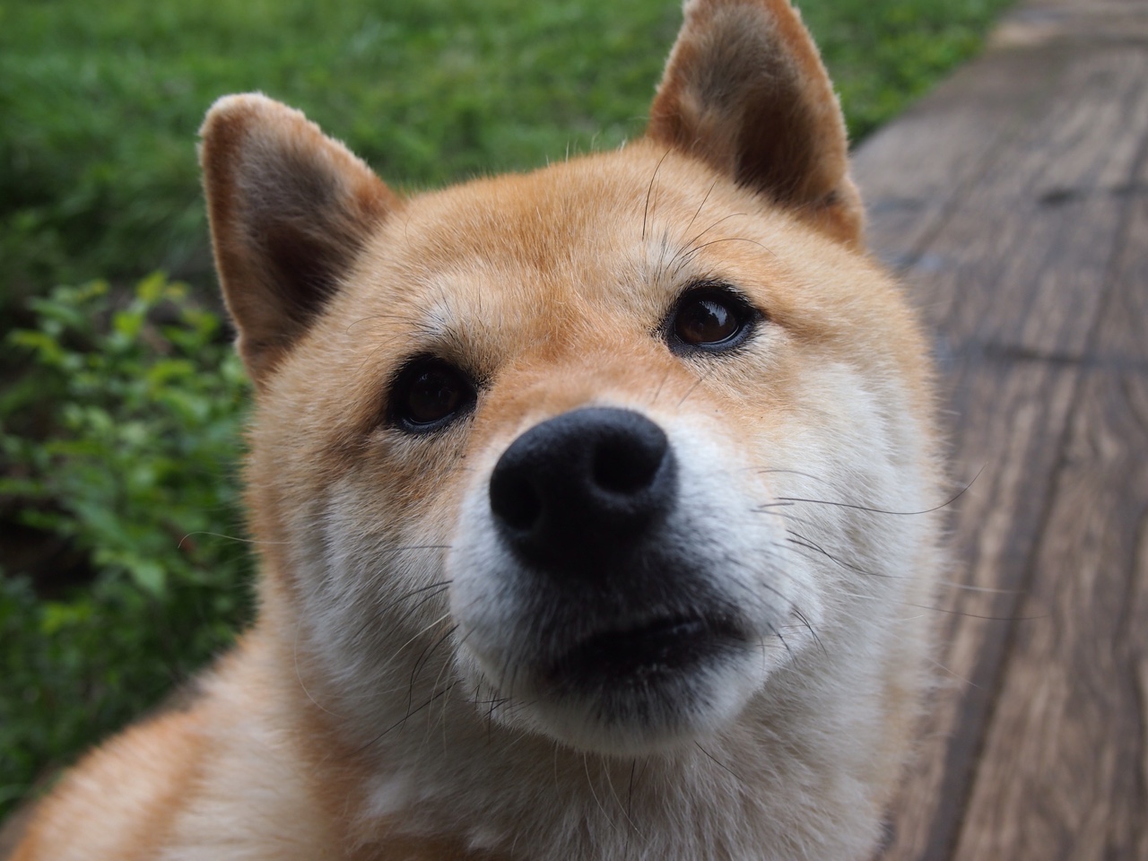 唯一性之夜,莱比锡红牛导演逆转奇迹,楚阿梅尼化身终局关键先生