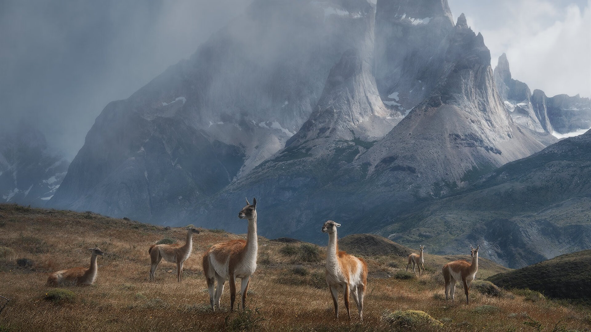 半场艺术与全场碾压，哈利伯顿的转换魔法与掘金的系统之力