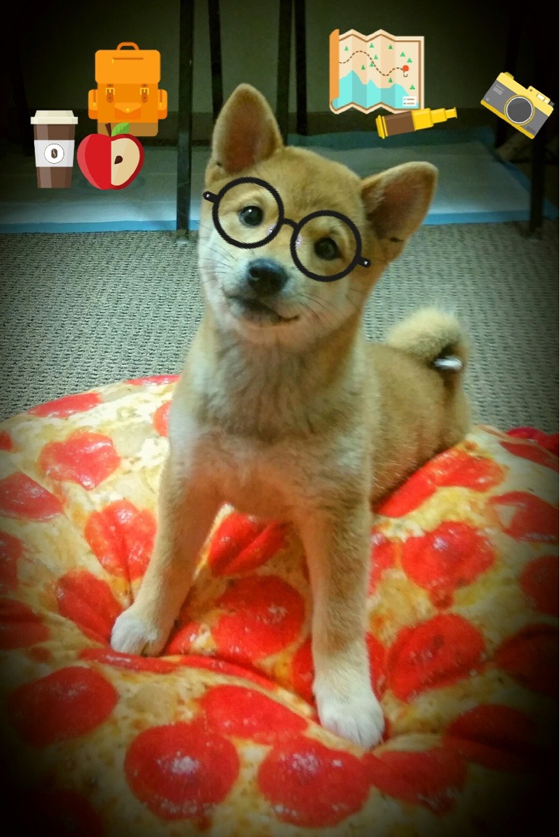 破冰之战，孔德麾下加拿大历史性击败伊拉克，书写北美足球新篇