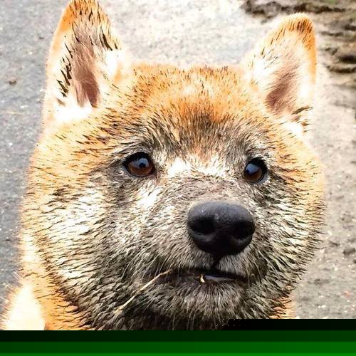 NBA总决赛之夜，布克王者之心诞生