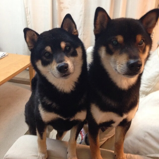 格局重塑之夜！国米混凝土防线凿穿拜仁，欧冠巅峰战改写欧洲权力版图