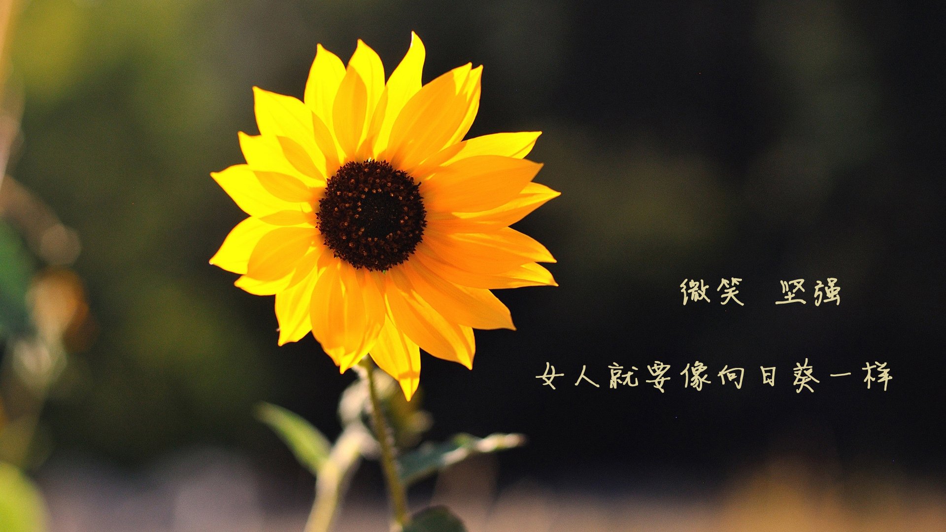 一锤定音！莱奥关键战再显巨星本色，国际米兰力克墨西哥劲旅晋级八强