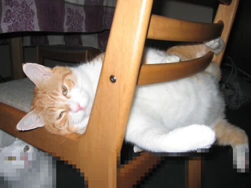 球衣的魔法，血脉的觉醒，久保建英与阿根廷的欧冠奇迹