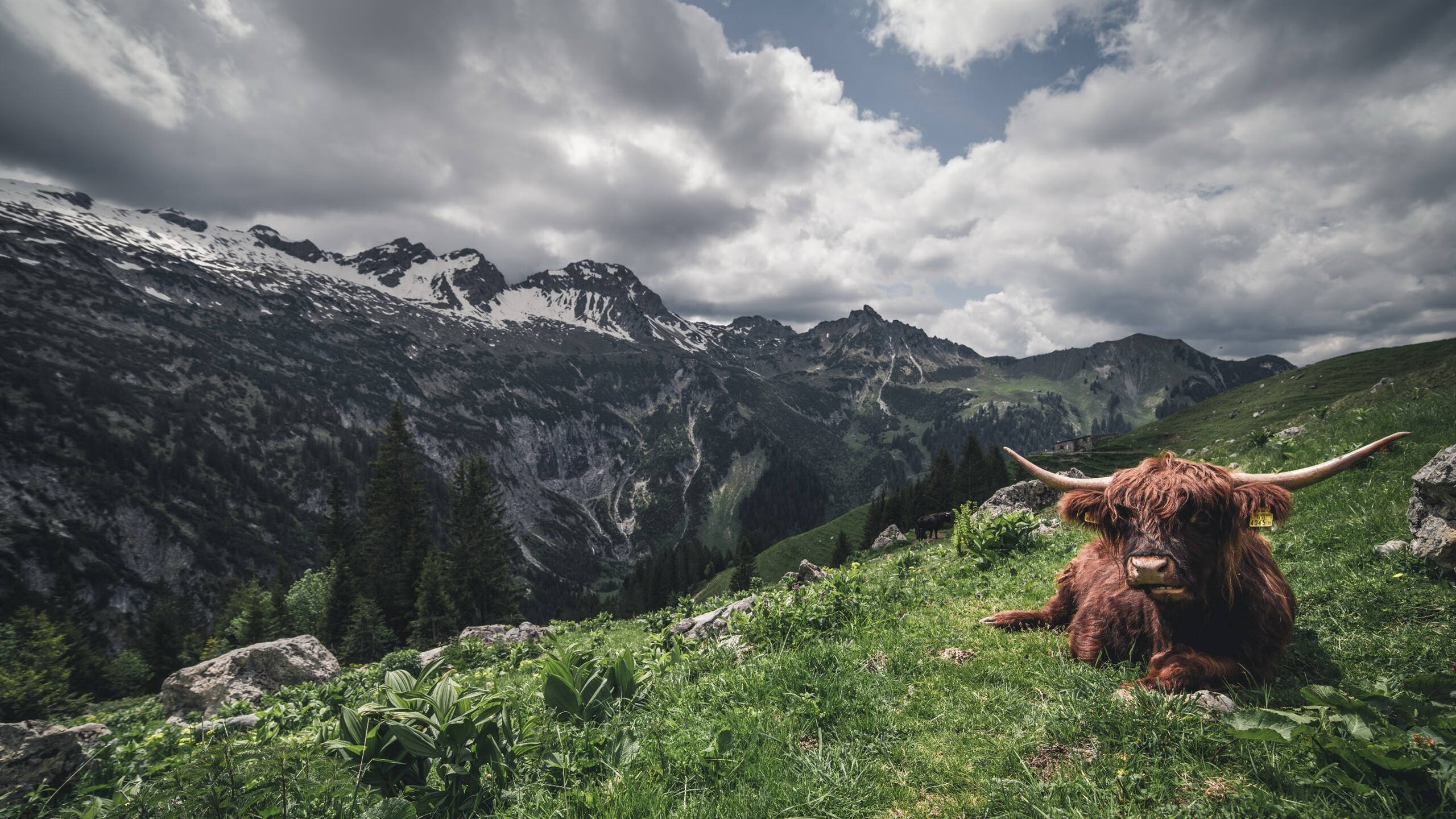 爵士乐未终章，雷鸣已至，哈利伯顿，专为大场面而生的冷血指挥官