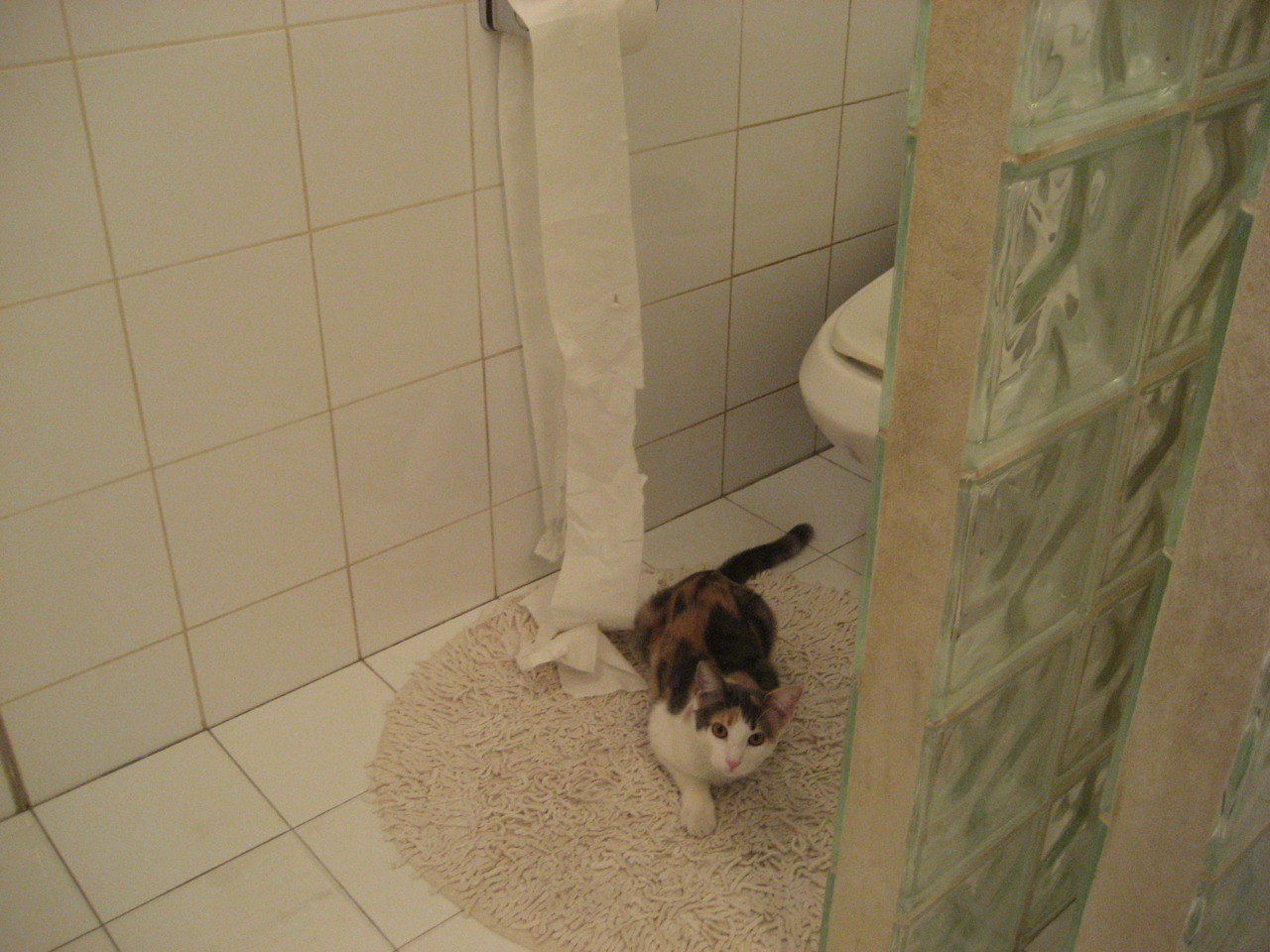 加勒比旋风席卷安菲尔德,奥亚尔萨瓦尔的魔法如何让牙买加横扫利物浦