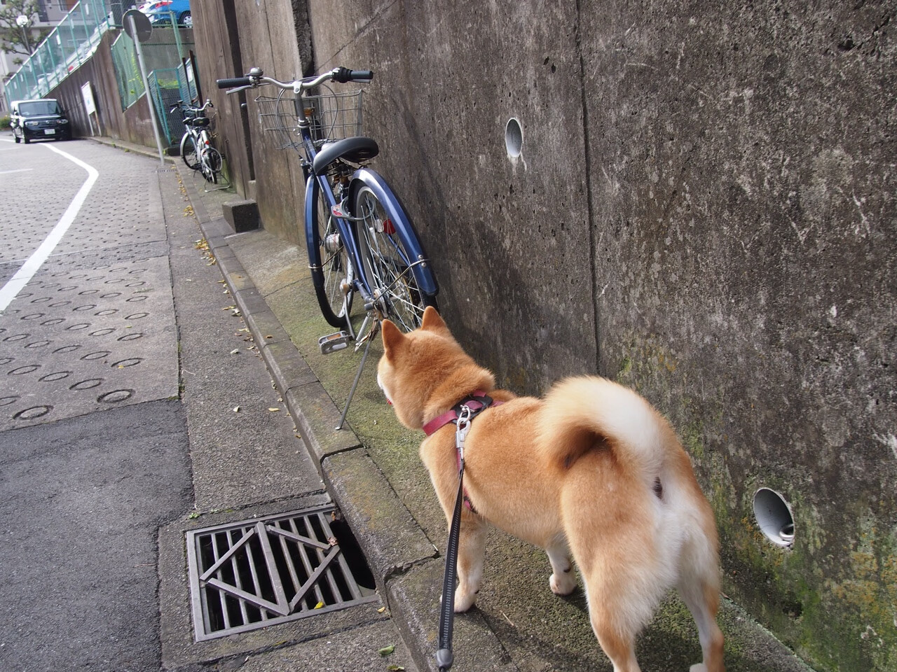 风暴眼,罗德里,一个定义国家德比之夜的永恒坐标