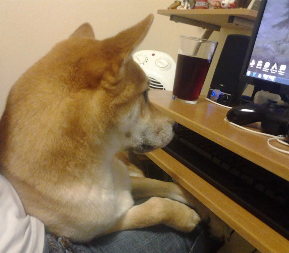 从金州到世界杯，库里三分雨浇熄步行者之夜，预言2026布伦森接管时代的序曲