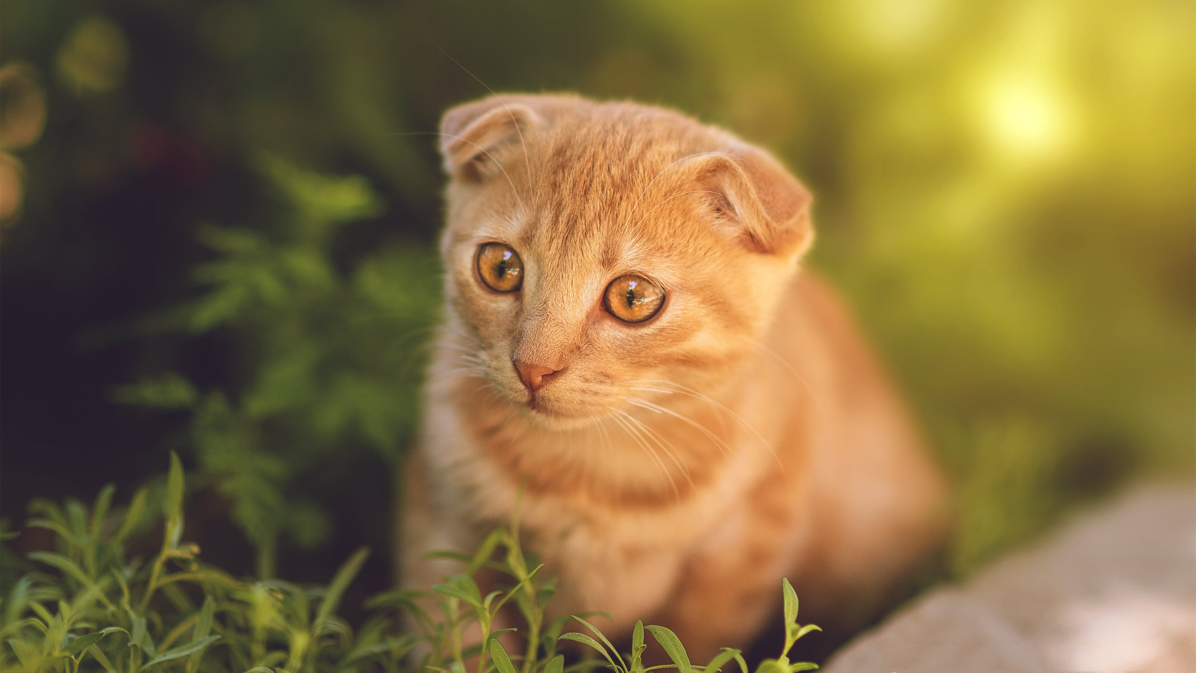 当精密齿轮遇见孤胆枪手，论篮球世界两种极致的唯一性