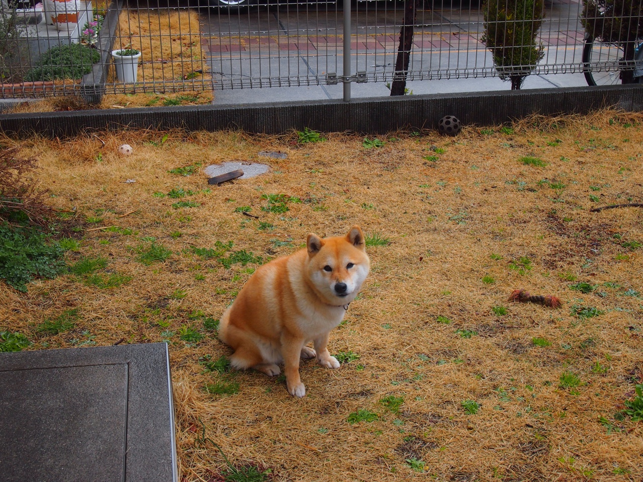 双面霸权，当极端压制遇上绝对接管—论竞技体育的唯一性时刻