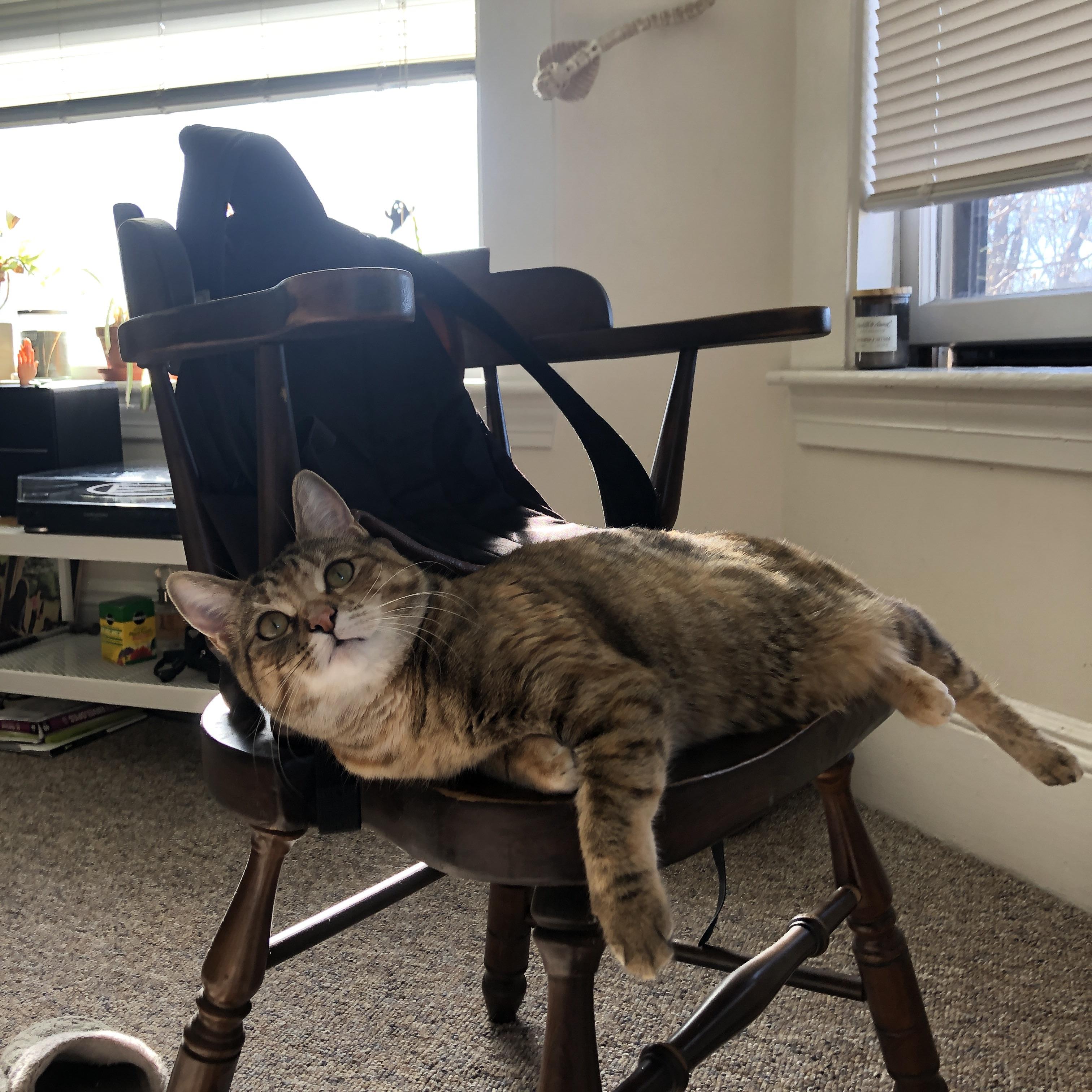 当爵士蓝调碰撞辽篮铁血，一场全球唯一的德罗赞式封神之夜