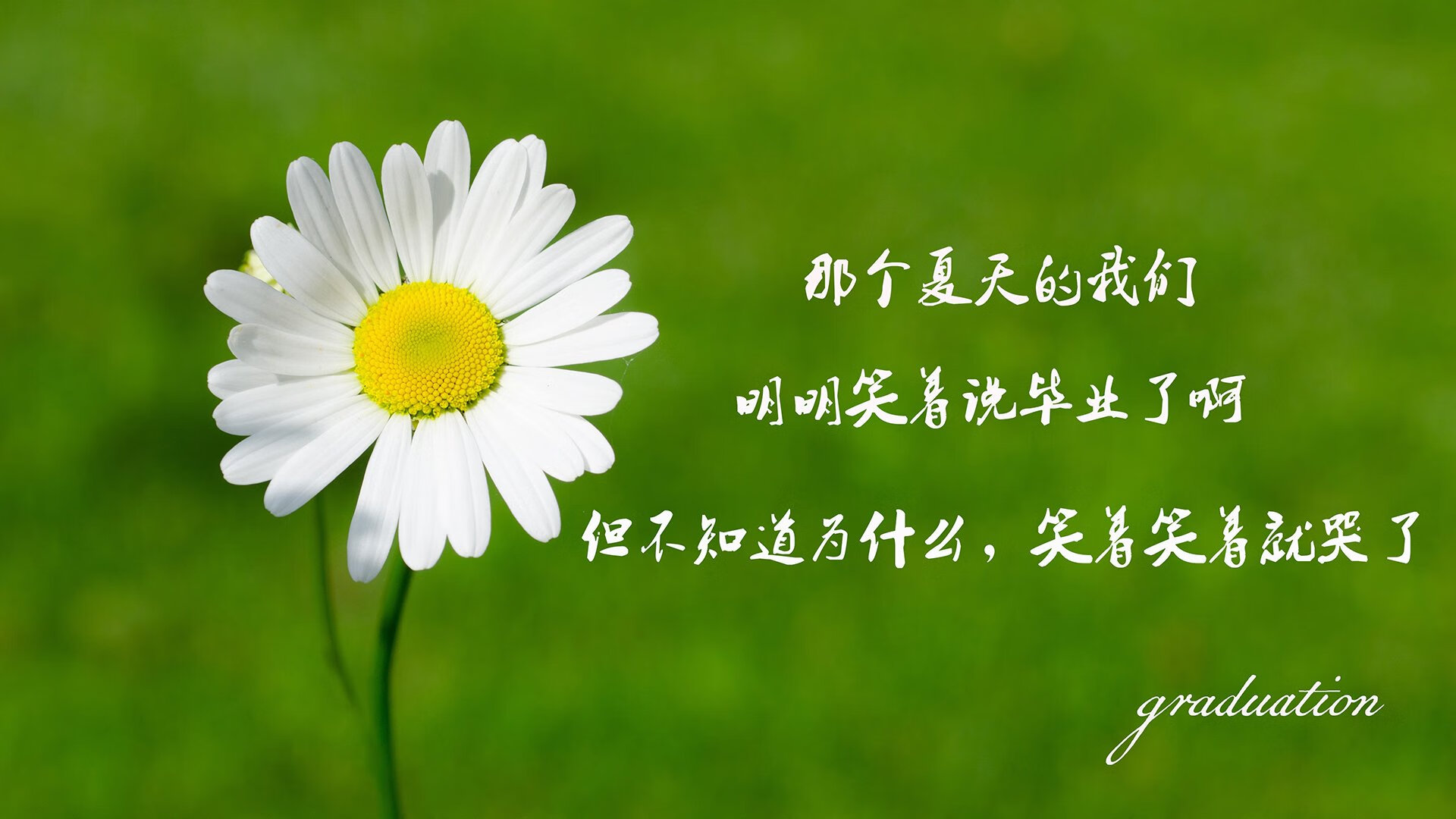 绝杀之夜,2026世界杯强强对话,塞尔维亚险胜伊朗,哈兰德闪耀全场