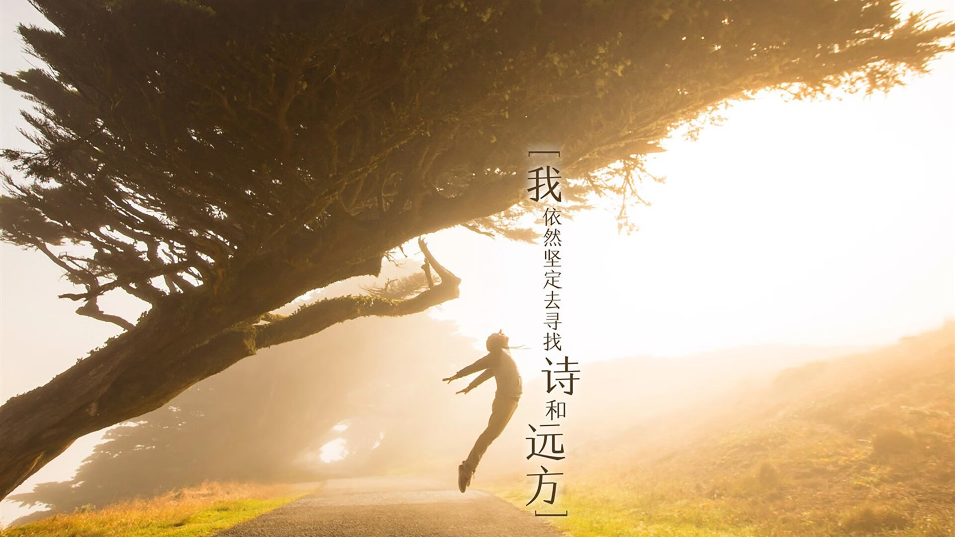 枫叶红透绿茵场，2026世界杯E组焦点战，加拿大如何用钢铁防线与费利克斯的魔法，完成对五星巴西的史诗级碾压